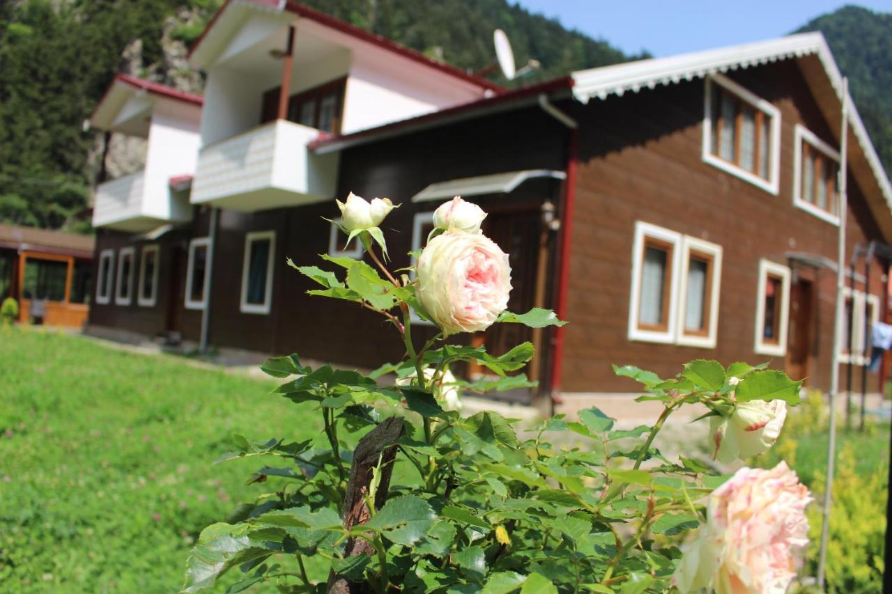 Lodge Selale Uzungol