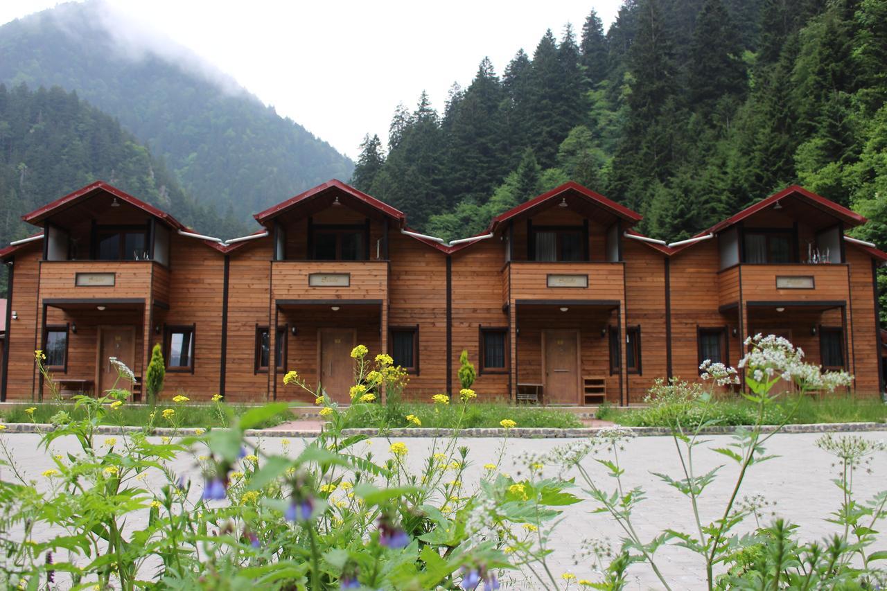 Lodge Selale