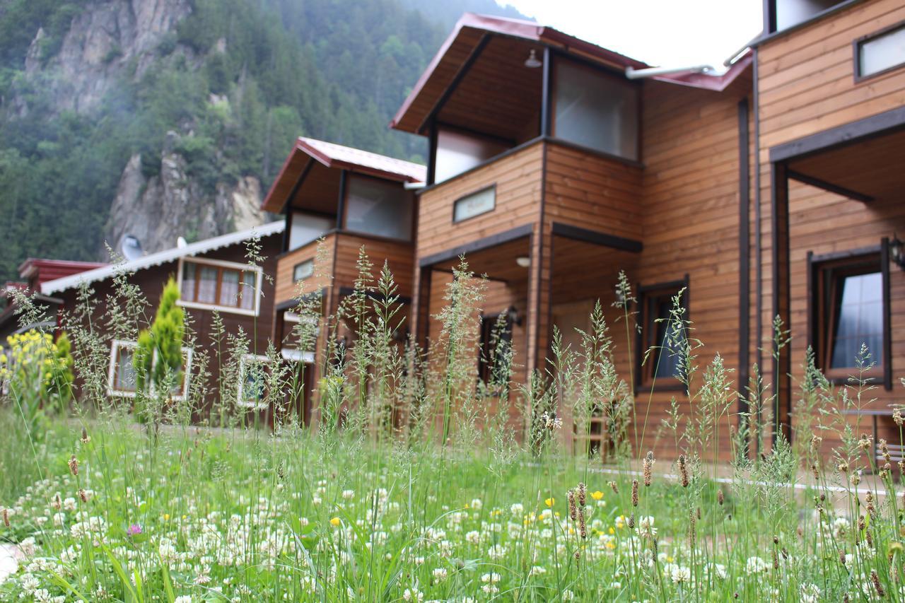 Selale Uzungol
