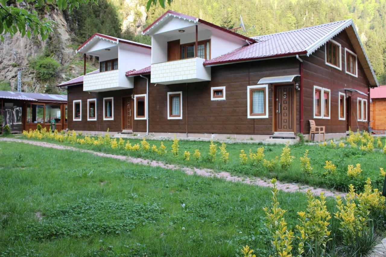 Selale Lodge *