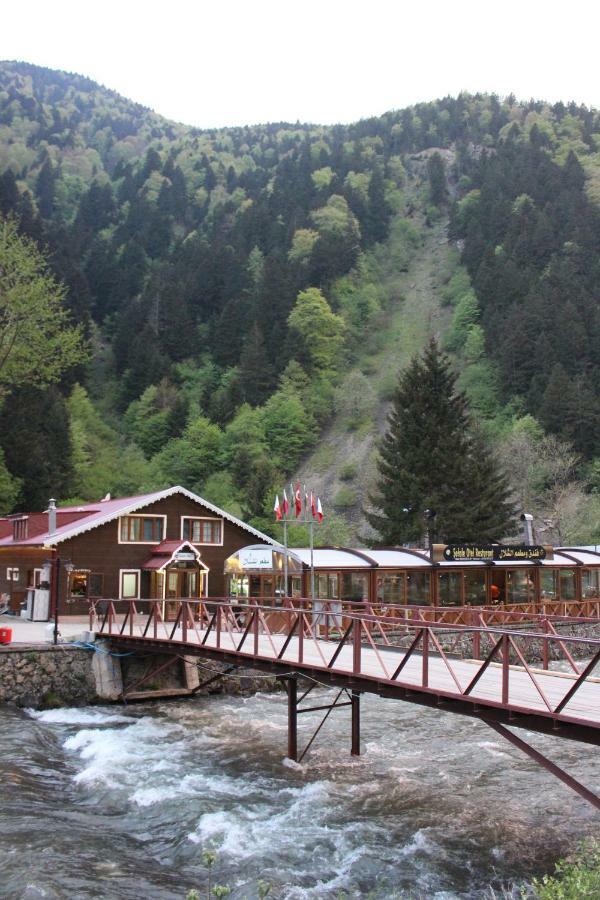 Lodge Selale *
